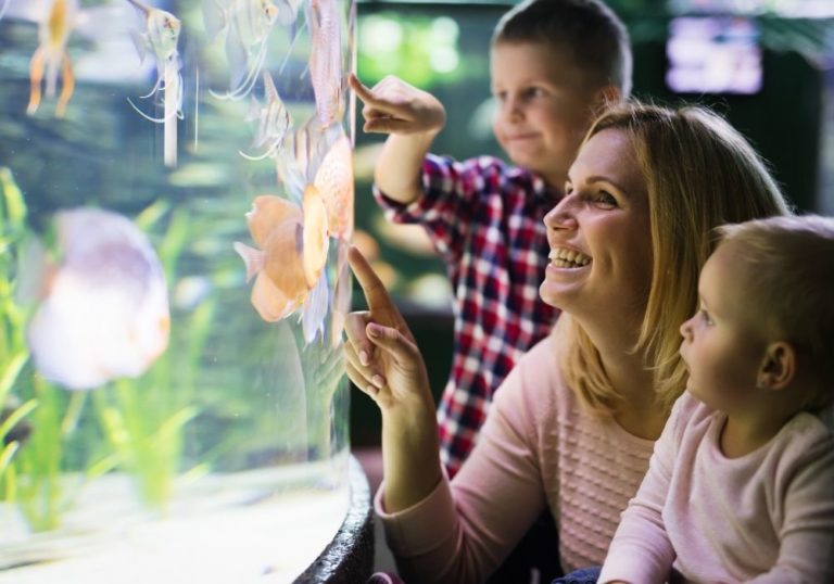 Choose a fish tank | Warehouse Aquatics | Middlewich