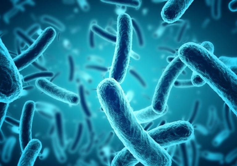 Add a bacteria booster to your fish tank water | Warehouse Aquatics | Middlewich
