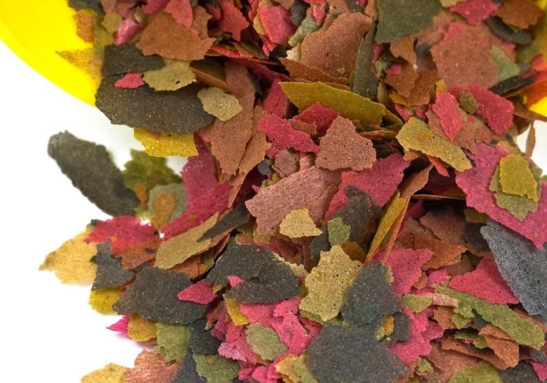 Stock up on tropical fish food | Warehouse Aquatics | Middlewich