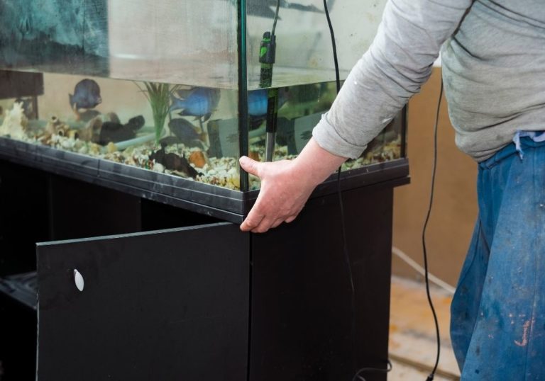 Shop tropical fish tank essentials | Warehouse Aquatics | Middlewich