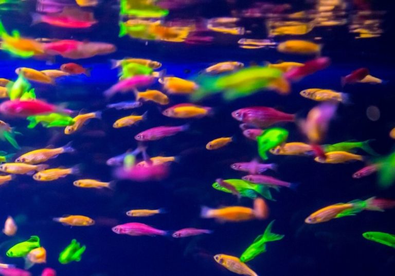 Aquarium light outputs T5, T8, and LED | Warehouse Aquatics | Middlewich