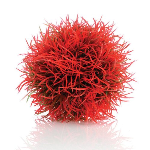 Aquarium ornaments | Aquarium gifts | Warehouse Aquatics | Middlewich