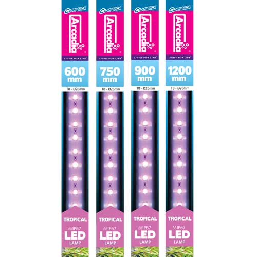 Arcadia T8 Tropical LED Tube | Warehouse Aquatics | Middlewich
