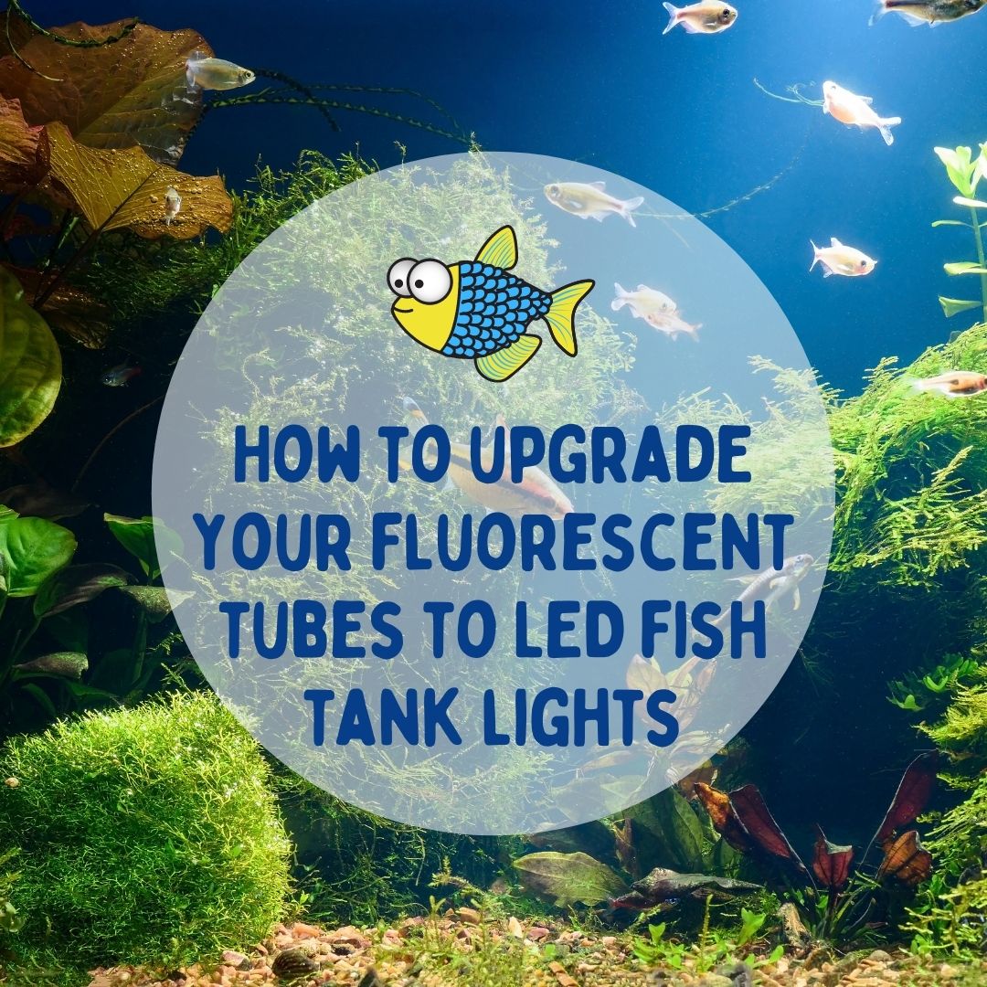 LED fish tank lights Upgrade fluorescent tubes Warehouse Aquatics