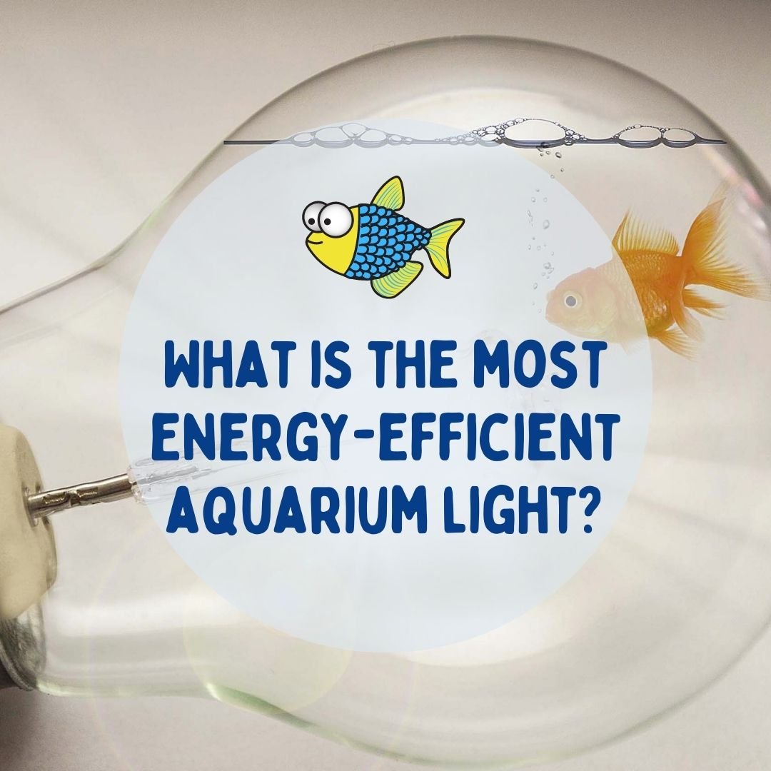 What is the most energy-efficient aquarium light? | Warehouse Aquatics