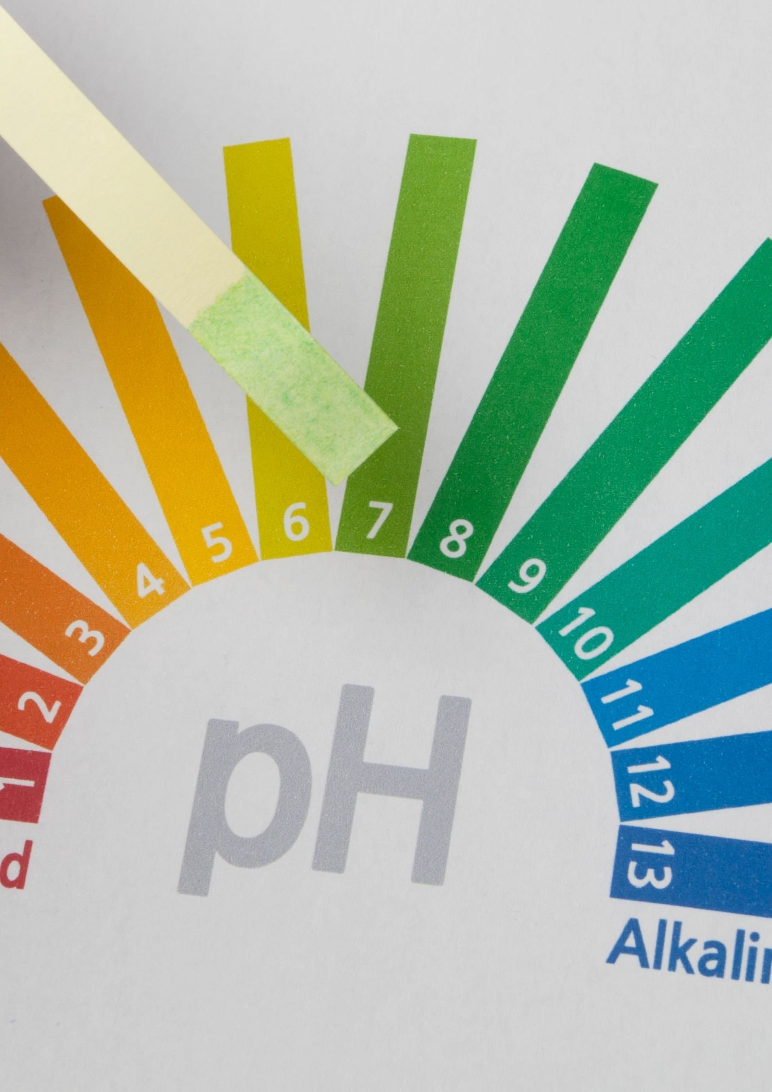 Improve pond water quality How to test pond water Warehouse Aquatics