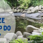 What size pond pump do I need? | Warehouse Aquatics | Middlewich