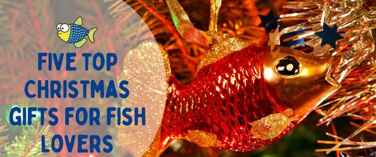 Christmas gifts for fish lovers