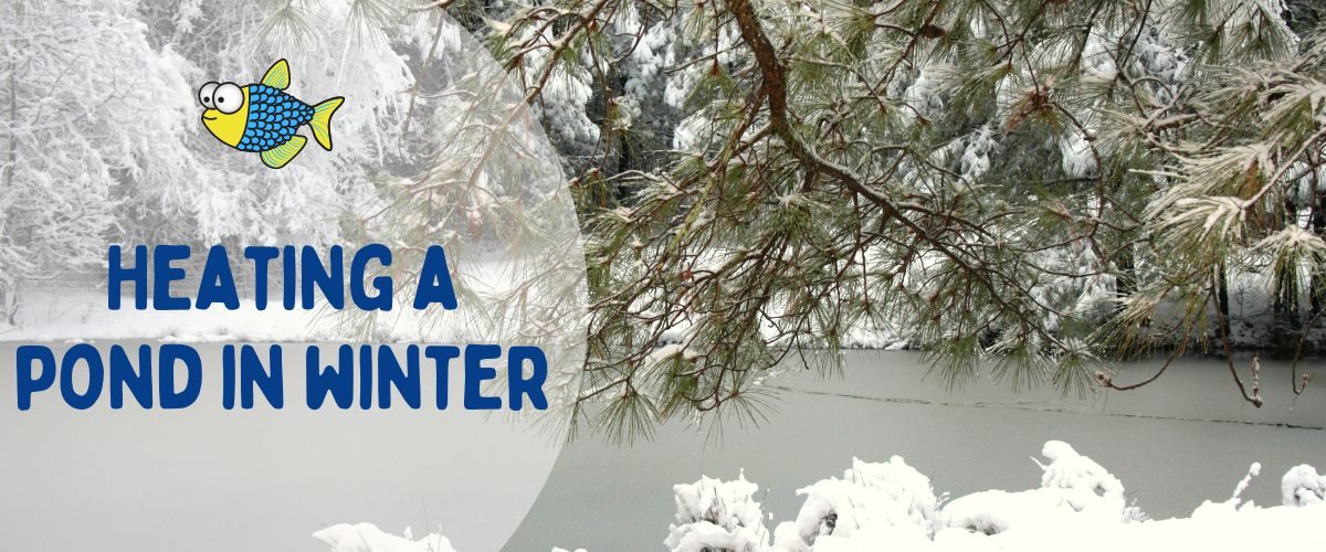 Heating a pond in winter | Warehouse Aquatics | Middlewich
