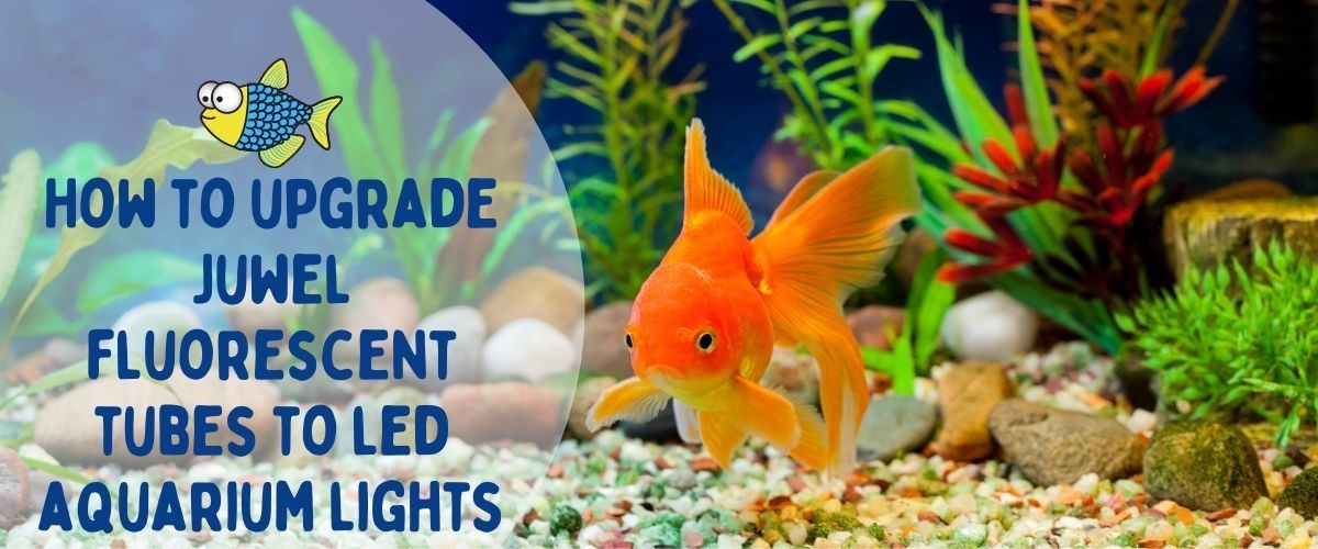 How to upgrade Juwel fluorescent tubes to led aquarium lights | Warehouse Aquatics | Middlewich