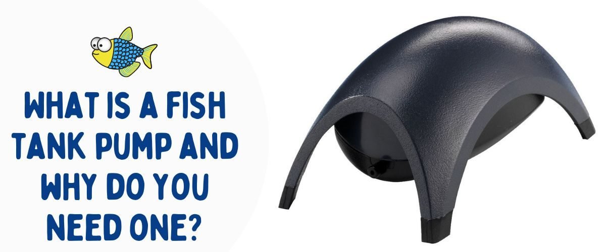 What is a fish tank pump and why do you need one? | Warehouse Aquatics | Middlewich